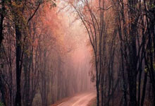 FB体育注册网址-梅西双响，助巴萨逆袭切尔西，重燃荣耀之路