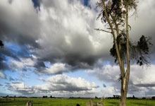 FB体育APP-雷恩战平南特保持不败，展现坚韧实力！