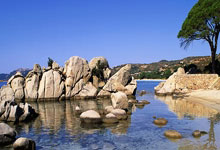 FB体育在线-蒙特雷球迷现场助威，激发球队夺冠斗志